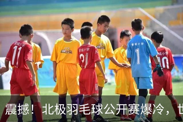 震撼！北极羽毛球公开赛爆冷，世界前列选手全遭淘汰